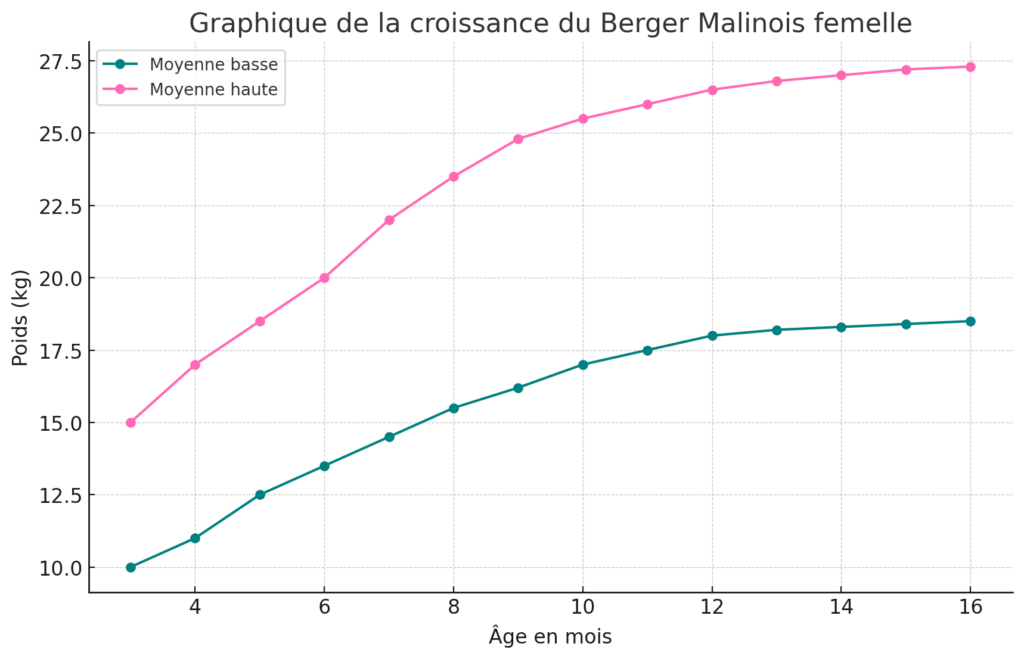 courbe croissance des malinois femelle